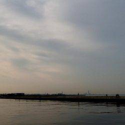 西宮突堤　早朝ツバス